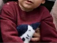 Pulover bebeluși băieți cu model de cățel