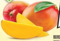 Grădina Mega Mango copt în copac, bucată