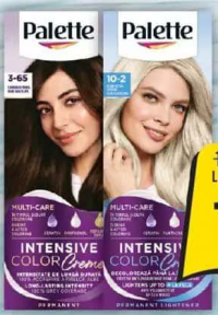 Palette Intensive Color Creme Vopsea pentru păr, diverse nuanțe