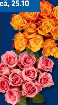 Buchet de trandafiri 9 fire 1 buc.