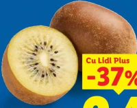 Kiwi Gold per buc.