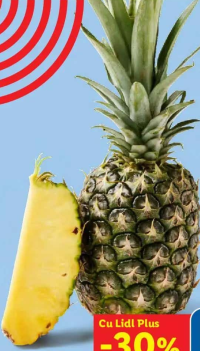Ananas per kg