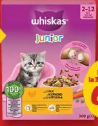 Whiskas Hrană Uscată pentru Pisici Junior 300 g