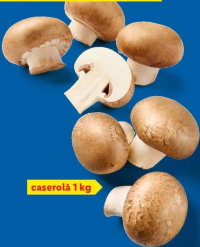 Ciuperci brune caserolă 1 kg