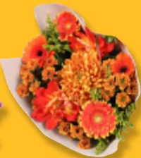 Buchet mixt multicolor 11 fire