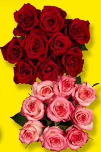 Buchet trandafiri maxi 5 fire