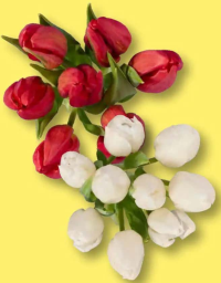 Buchet de lalele 7 fire 1 buc.