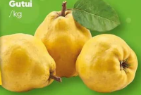 Gutui