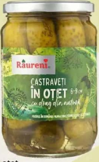 RÂURENI Castraveți în oțet 6-9 cm 680 g