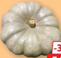 Dovleac rotund