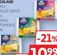 HOCHLAND FAMILY BRÂNZĂ TOPITĂ FELII DIVERSE SORTIMENTE 280G