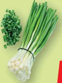 Ceapă verde legătură