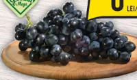Grădina Mega Struguri negri Cal. I, import