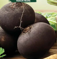 Gusturi Românești Ridichi negre