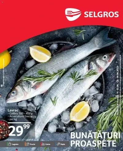 Catalog Selgros