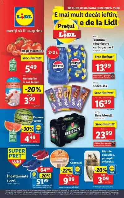 Catalog Lidl