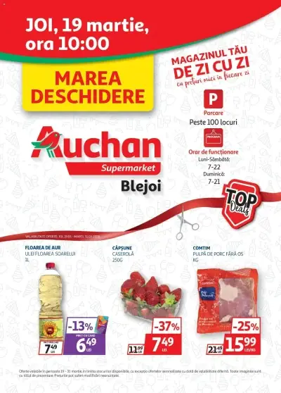 Catalog Auchan online catalog: Ofertă actuală din 19.03.2026
